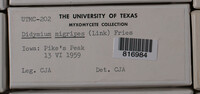 Image Associated With the Occurence